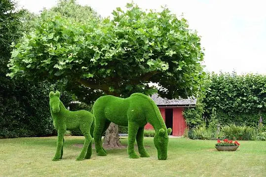 Load image into Gallery viewer, Topiary Foal