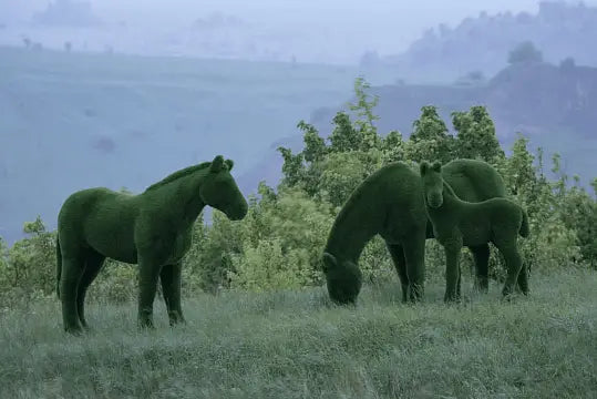 Load image into Gallery viewer, Topiary Horse