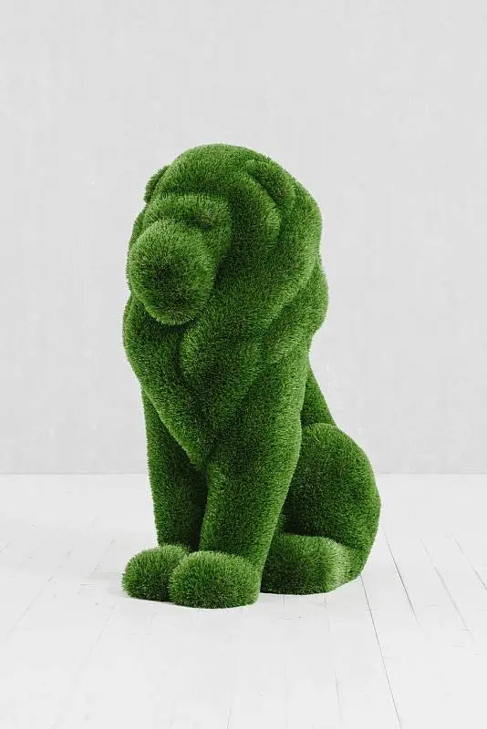 Topiary Lion Small 4 Marin Backyards