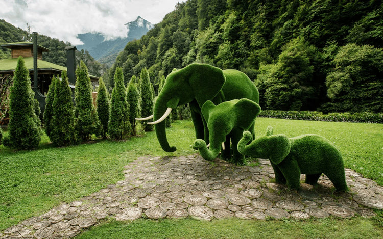 Timeless Artistry, Durable Design – Topiary for Every Outdoor Space