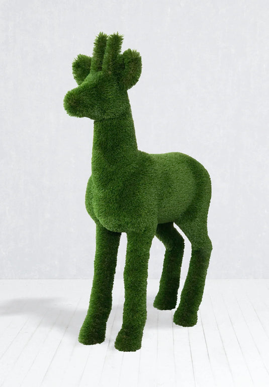 Topiary Roebuck