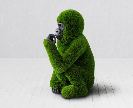 Topiary Baby Gorilla w/ Carved Face
