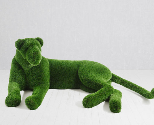Topiary Lioness