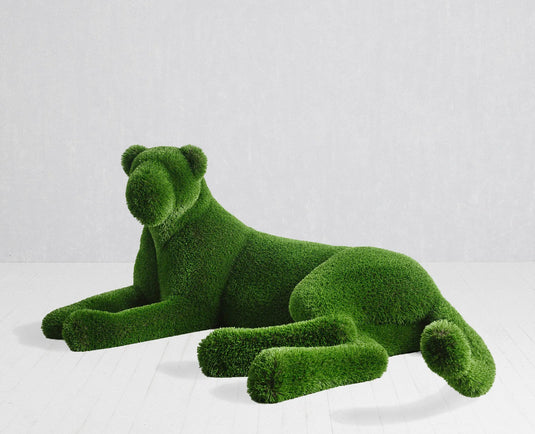 Topiary Lioness
