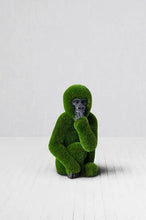 Load image into Gallery viewer, Topiary Baby Gorilla w/ Carved Face
