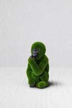 Load image into Gallery viewer, Topiary Baby Gorilla w/ Carved Face
