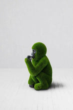 Load image into Gallery viewer, Topiary Baby Gorilla w/ Carved Face
