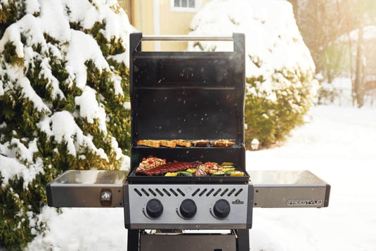 FREESTYLE 365 GAS GRILL