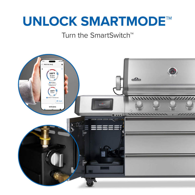 Load image into Gallery viewer, Prestige® PRO 665 Elite with Smart Technology &amp; Electric Smoker Box
