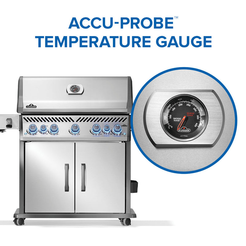 Load image into Gallery viewer, Rogue® PRO-S 625 RSIB with Infrared Side and Rear Burner
