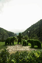 Load image into Gallery viewer, Topiary Small Grass Bear
