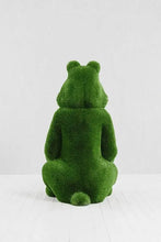 Load image into Gallery viewer, Topiary Grass Bear with Basket
