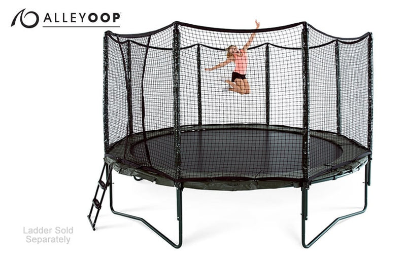 Load image into Gallery viewer, AlleyOOP 14&#39; Trampoline with Enclosure
