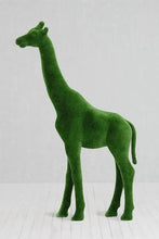 Load image into Gallery viewer, Topiary Large Giraffe
