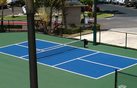 Pickleball Court Kit 2