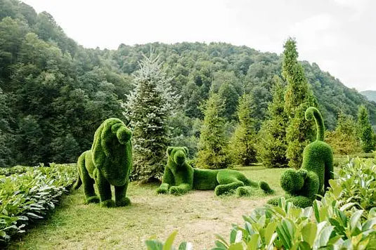 Topiary Lioness