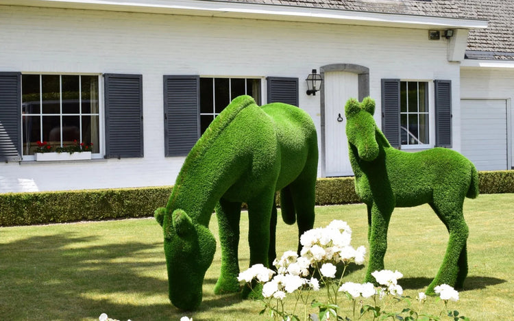 Elevate Your Landscape with Bacho’s Exquisite Topiary Sculptures