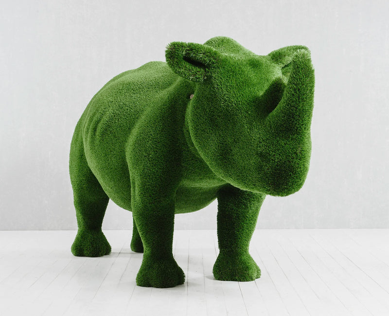 Load image into Gallery viewer, Topiary Rhinoceros
