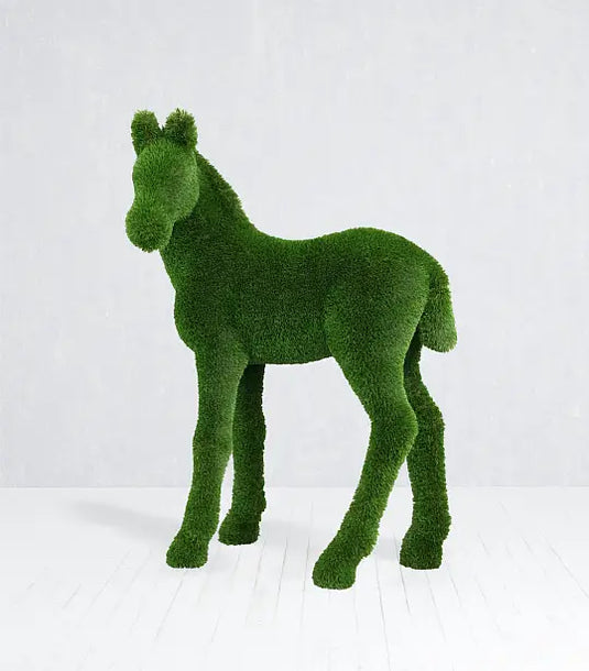 Topiary Foal