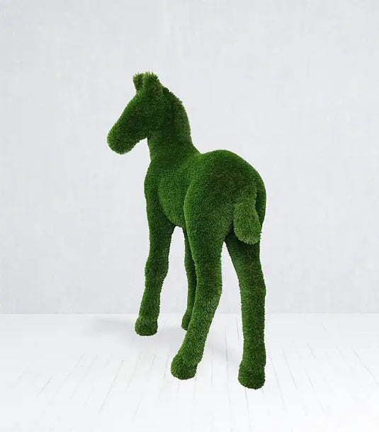 Topiary Foal