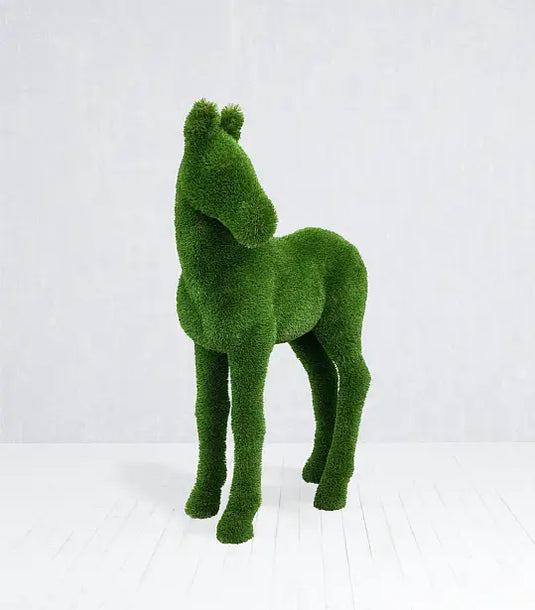 Topiary Foal