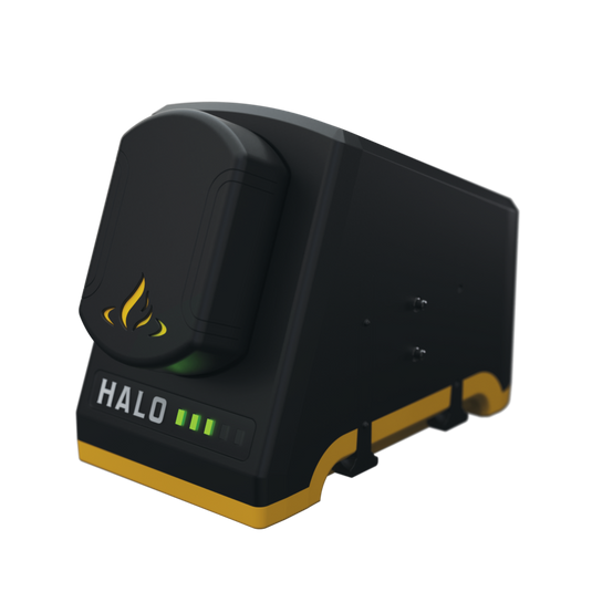 Rechargeable Lithium-ion Battery Pack with Charging Dock Marin Backyards 1