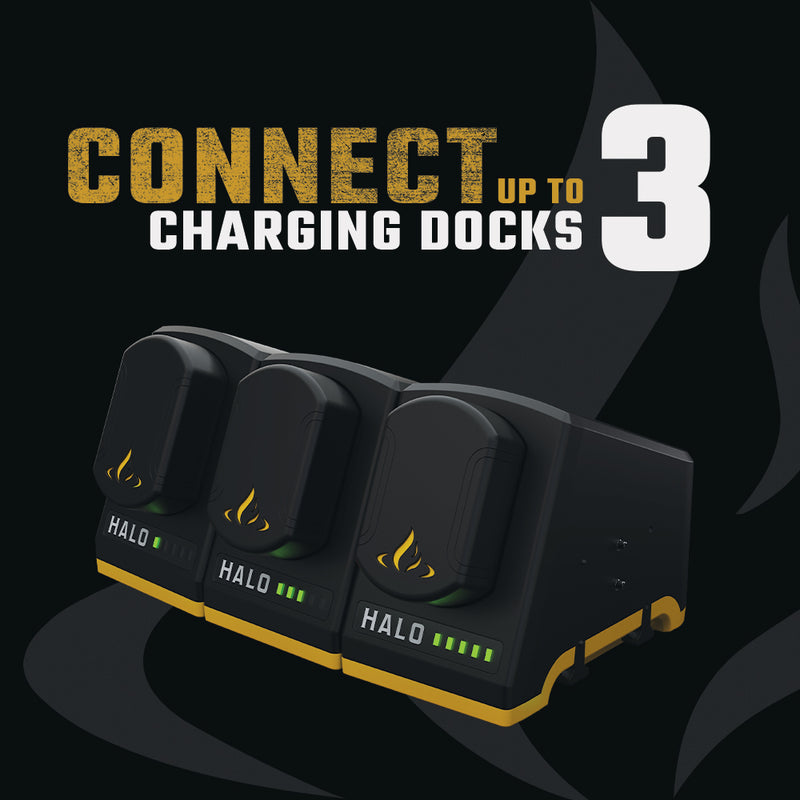 Load image into Gallery viewer, Rechargeable Lithium-ion Battery Pack with Charging Dock Marin Backyards 2
