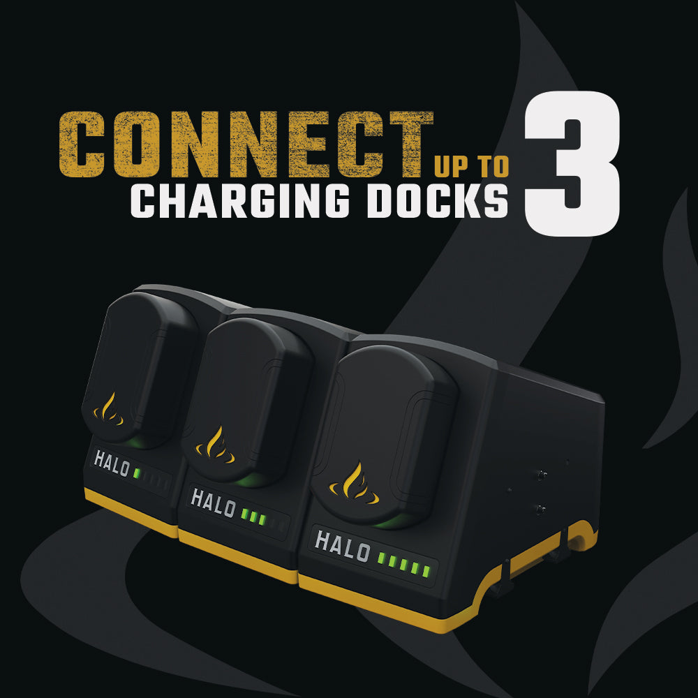 Rechargeable Lithium-ion Battery Pack with Charging Dock Marin Backyards 2